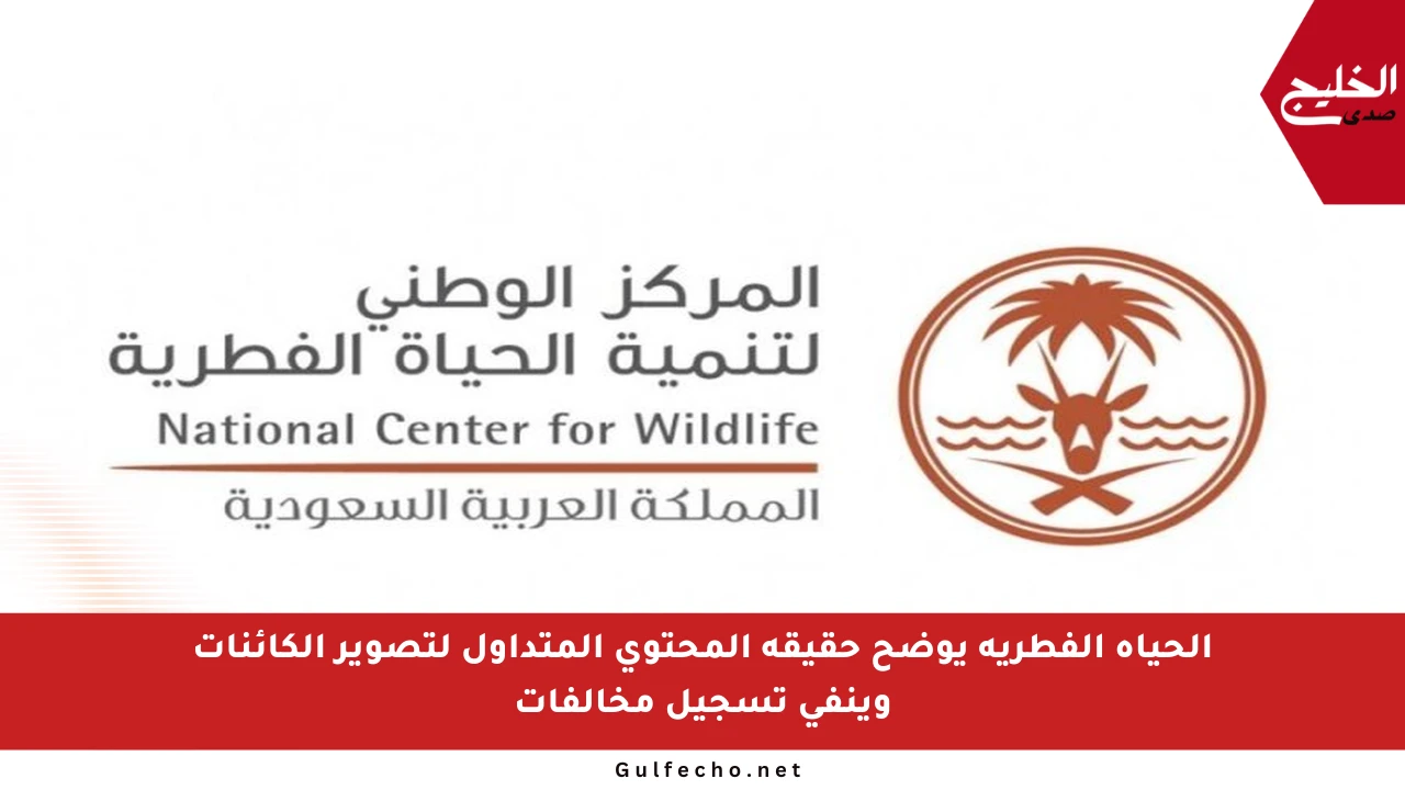 الحياة الفطرية يوضح حقيقة المحتوى المتداول لتصوير الكائنات وينفي تسجيل مخالفات